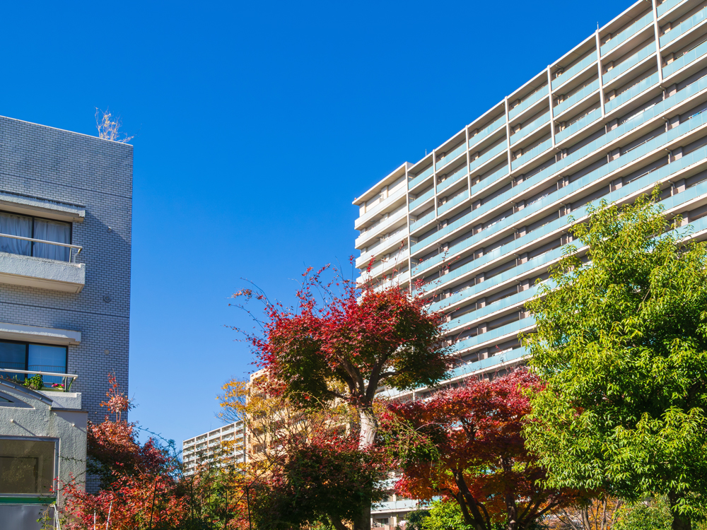 豊中市マンション日常清掃の業者ならサウスラック